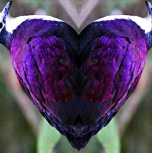 Meet your Posher, StÃ©phanie